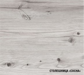 АСАЯ Кухонный гарнитур Экстра 2 (3000 мм) ПМ в Сургуте - surgut.mebel-74.com | фото