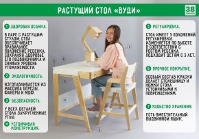 Комплект растущий стол и стул 38 попугаев «Вуди» (Серый, Без покрытия) в Сургуте - surgut.mebel-74.com | фото