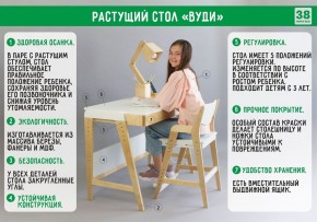 Комплект растущий стол и стул с чехлом 38 попугаев «Вуди» (Белый, Белый, Салют) в Сургуте - surgut.mebel-74.com | фото