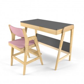 Комплект растущий стол и стул с чехлом 38 попугаев «Вуди» (Серый, Береза, Розовый) в Сургуте - surgut.mebel-74.com | фото