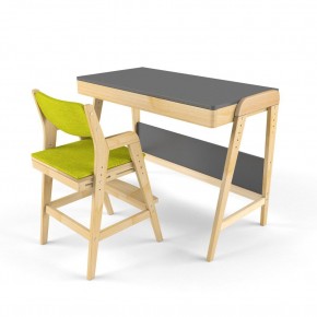 Комплект растущий стол и стул с чехлом 38 попугаев «Вуди» (Серый, Без покрытия, Грин) в Сургуте - surgut.mebel-74.com | фото