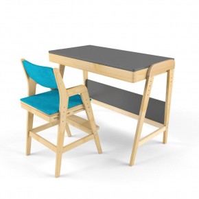 Комплект растущий стол и стул с чехлом 38 попугаев «Вуди» (Серый, Без покрытия, Лазурь) в Сургуте - surgut.mebel-74.com | фото