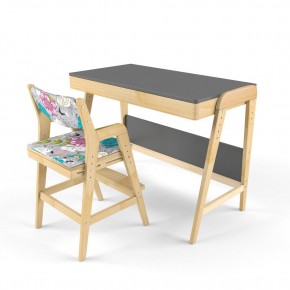 Комплект растущий стол и стул с чехлом 38 попугаев «Вуди» (Серый, Без покрытия, Мечта) в Сургуте - surgut.mebel-74.com | фото