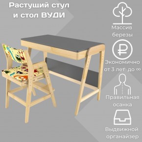 Комплект растущий стол и стул с чехлом 38 попугаев «Вуди» (Серый, Без покрытия, Монстры) в Сургуте - surgut.mebel-74.com | фото