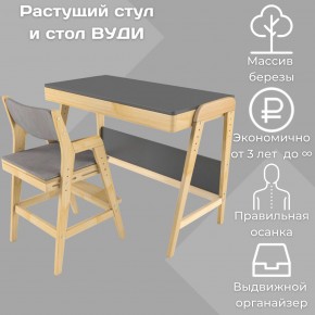 Комплект растущий стол и стул с чехлом 38 попугаев «Вуди» (Серый, Без покрытия, Серый) в Сургуте - surgut.mebel-74.com | фото