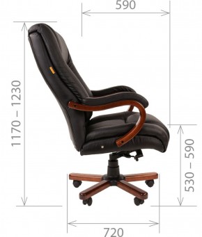 Кресло для руководителя CHAIRMAN  503 (Кожа) Черное в Сургуте - surgut.mebel-74.com | фото