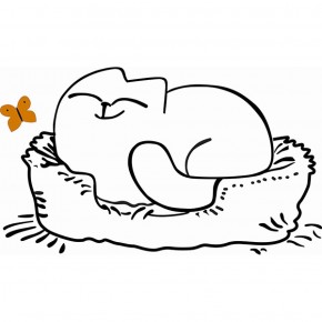 Кровать двухуровневая Кот № 900.1 ЛЕВАЯ (туя светлая/белый) в Сургуте - surgut.mebel-74.com | фото