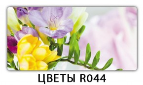 Обеденный раздвижной стол Бриз с фотопечатью Цветы R044 в Сургуте - surgut.mebel-74.com | фото