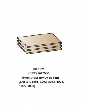 ПЛ-1021 (Комплект полок из 3 шт для ШК-1001, 1002, 1003, 1004, 1005, 1007) в Сургуте - surgut.mebel-74.com | фото