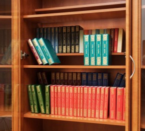 Шкаф для книг арт. 200 в Сургуте - surgut.mebel-74.com | фото