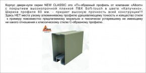 Шкаф-купе 1700 серии NEW CLASSIC K2+K2+B2+PL2(2 ящика+1 штанга+1 полка) профиль «Капучино» в Сургуте - surgut.mebel-74.com | фото