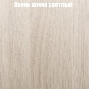 Шкаф-купе «ТАНДЕМ» 3-х дверный в алюминиевом профиле (Дверь К+К+К) 2100/h2200 в Сургуте - surgut.mebel-74.com | фото