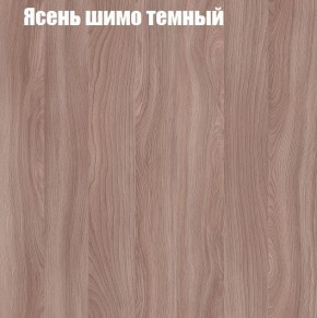 Шкаф-купе «ТАНДЕМ» 3-х дверный в алюминиевом профиле (Дверь К+К+К) 2100/h2200 в Сургуте - surgut.mebel-74.com | фото