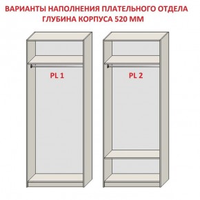 Шкаф распашной серия «ЗЕВС» (PL3/С1/PL2) в Сургуте - surgut.mebel-74.com | фото