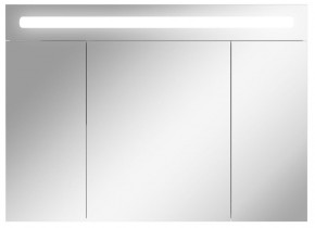 Шкаф-зеркало Аврора 100 с подсветкой LED Домино (DV8012HZ) в Сургуте - surgut.mebel-74.com | фото