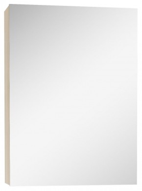 Шкаф-зеркало Мечта 40 Дуб сонома АЙСБЕРГ (DM2317HZ) в Сургуте - surgut.mebel-74.com | фото