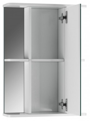Шкаф-зеркало Норма 2-50 правый АЙСБЕРГ (DA1608HZ) в Сургуте - surgut.mebel-74.com | фото