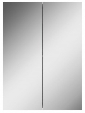 Шкаф-зеркало Норма 50 2 двери АЙСБЕРГ (DA1636HZ) в Сургуте - surgut.mebel-74.com | фото