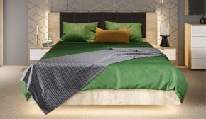 Спальня Джулия Кровать 160 МИ с подъемным механизмом Дуб крафт серый в Сургуте - surgut.mebel-74.com | фото