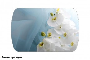 Стол Бостон 900*600 (опоры Брифинг) Стекло/фотопечать Белая Орхидея в Сургуте - surgut.mebel-74.com | фото