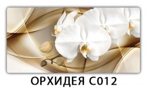 Стол раздвижной Трилогия с фотопечатью Цветы R044 в Сургуте - surgut.mebel-74.com | фото