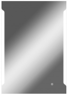 Зеркало Оттава 1000х700 с подсветкой Домино (GL7028Z) в Сургуте - surgut.mebel-74.com | фото